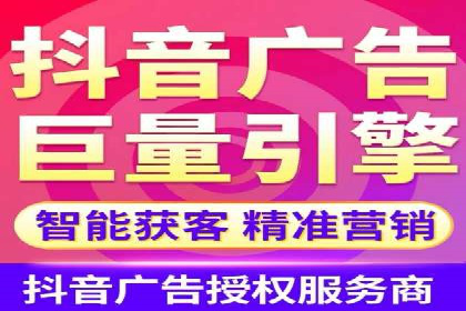 网络推广与竞价策略实战案例