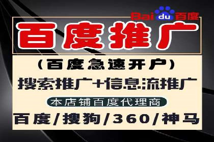 百度SEO推广成功案例：品牌知名度提升